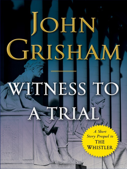 Cover image for Witness to a Trial